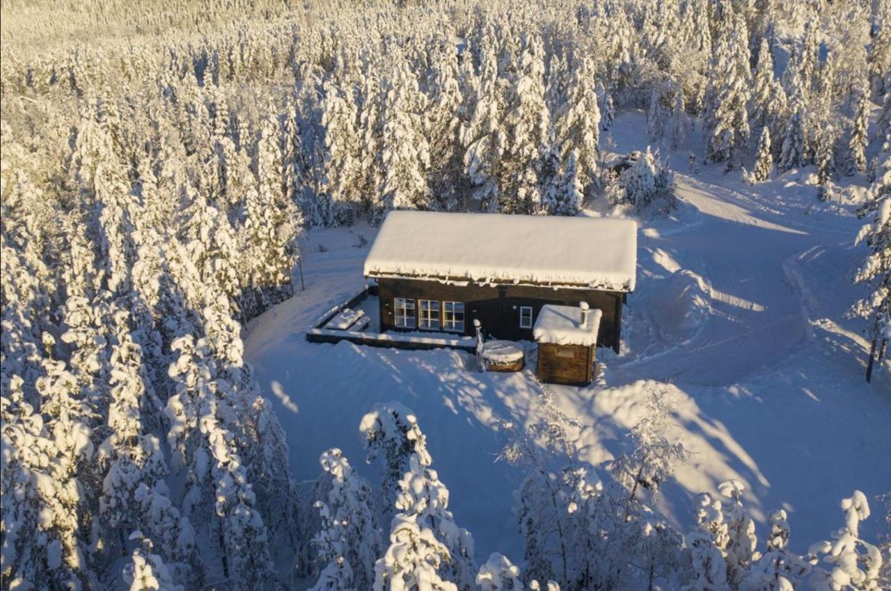 Cabin With Sauna In Трюсіль Екстер'єр фото